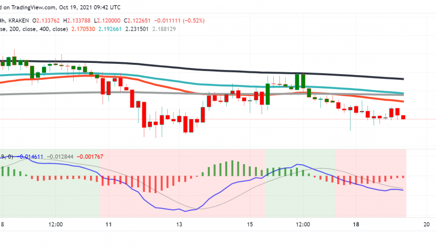 Why is Cardano (ADA) Still Struggling Despite High Investor Interest?