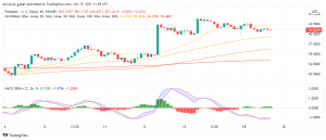Will Gavin Wood's Tweet Drive a Rally in Polkadot (DOT)?