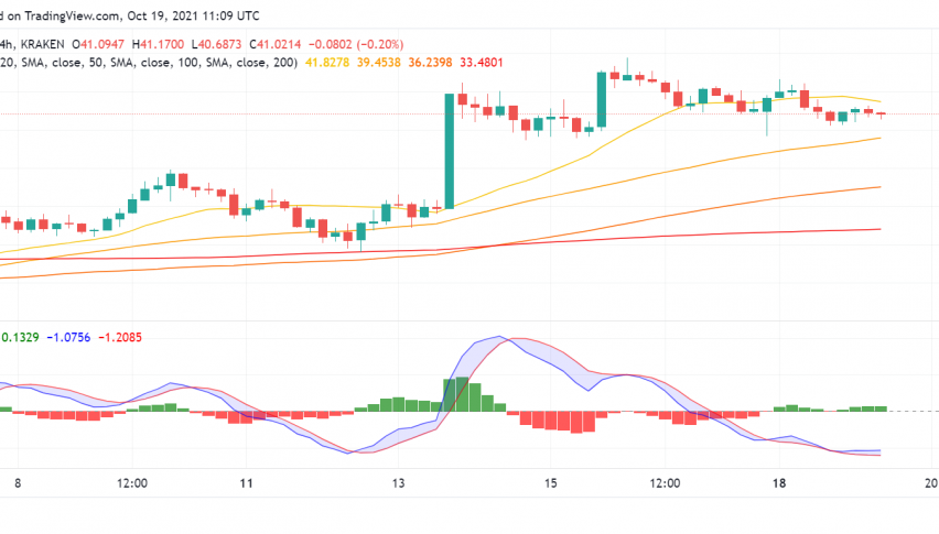Will Gavin Wood's Tweet Drive a Rally in Polkadot (DOT)?