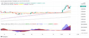 Shiba Inu (SHIB) Soars to New ATH on Sunday: What's Next?