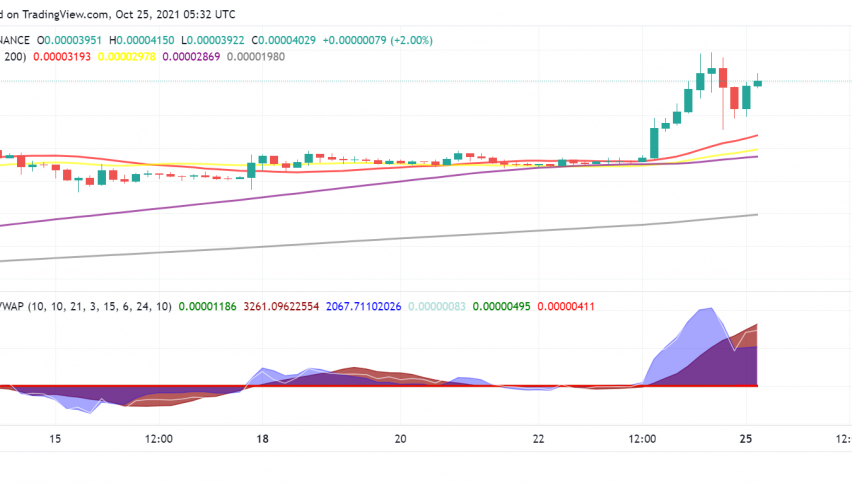 Shiba Inu (SHIB) Soars to New ATH on Sunday: What's Next?