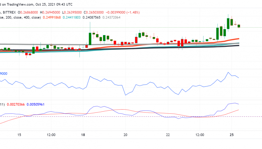 Can Dogefather Elon Musk Power Moves in Dogecoin (DOGE) This Week?