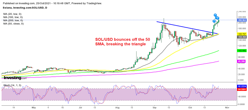 Solana resumes the bullish trend, heading for new highs
