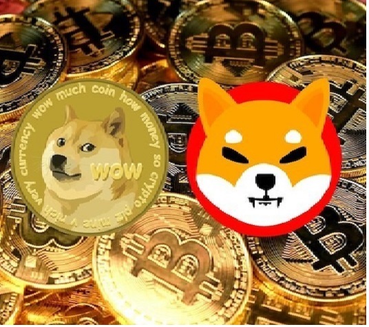 Is it the right time to buy Shiba Inu and Dogecoin now before the bullish move?