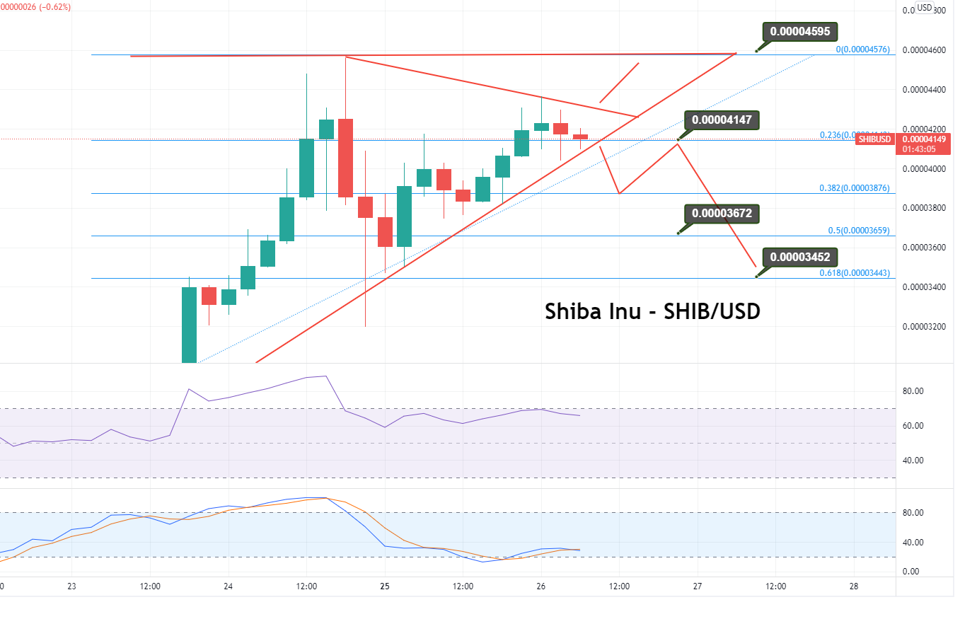Shiba Inu Price Analysis