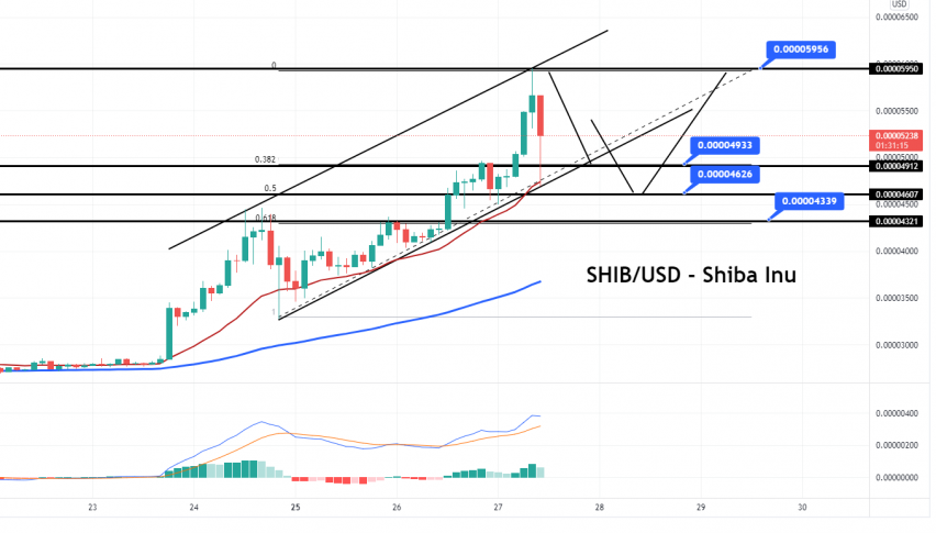 Shiba Inu Price Analysis