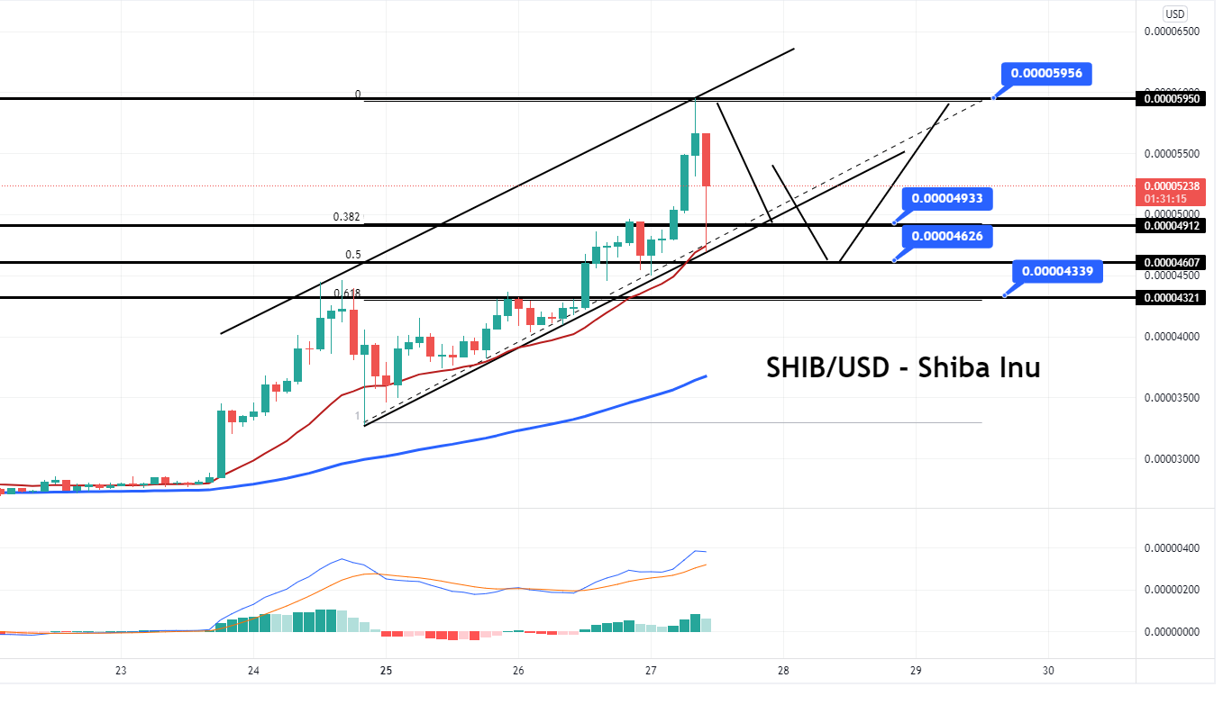 Shiba Inu Price Analysis