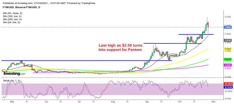 Fantom continues to form steps higher