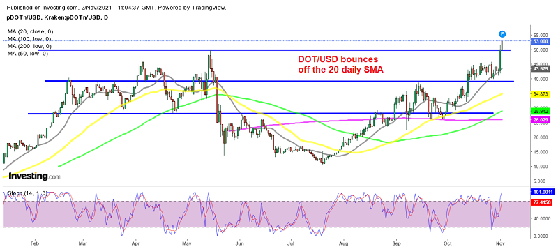 Polkadot becomes even more bullish as it pushes above $50