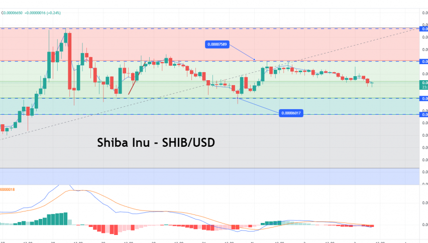 Shiba Inu Price Forecast