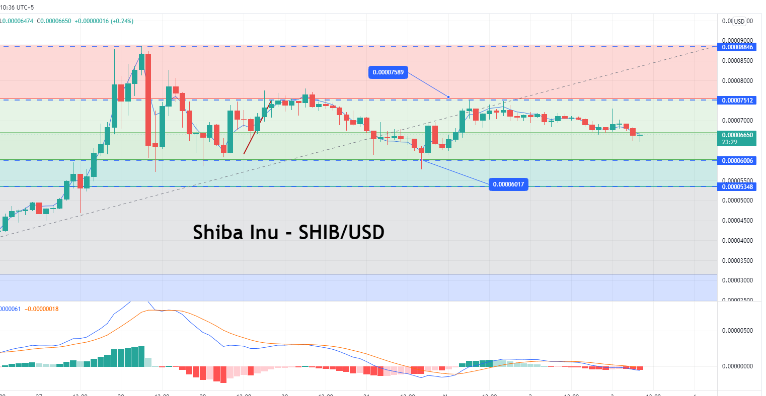 Shiba Inu Price Forecast