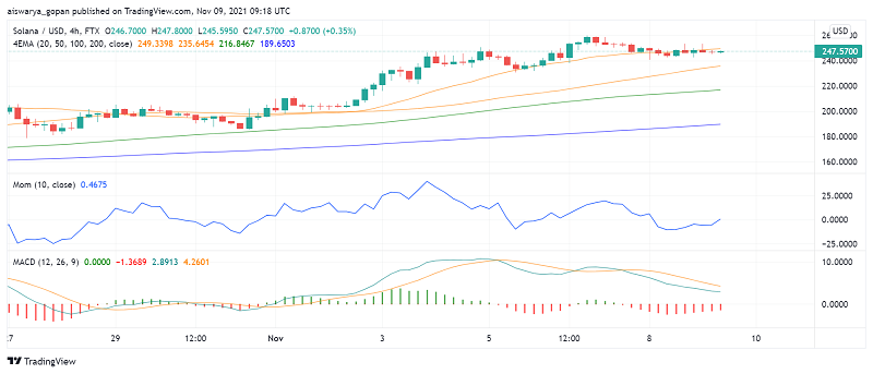 Solana (SOL) Makes Muted Moves Ahead of Upcoming Bull Cycle
