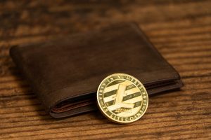 Litecoin remains a good investment after the retreat has ended