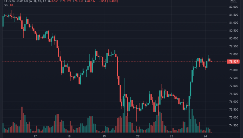 WTI Crude Oil Eases Lower as US Releases SPRs
