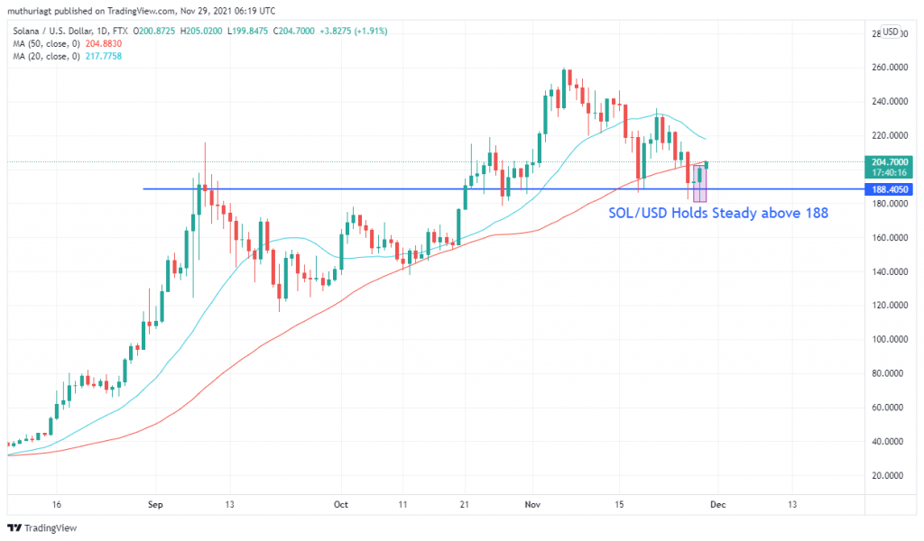 Is Solana (SOL/USD) About to Become Bullish? Signals Form at Key Level