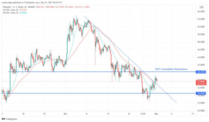 Polkadot Flashes Bullish Signs