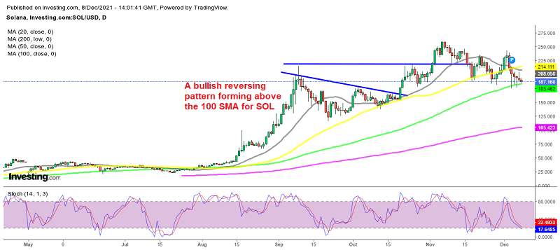 The retrace lower seems complete for Solana coin