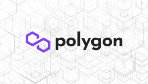 Polygon (MATIC) Emerges as a Market Leader Despite the Bearish Crypto Outlook