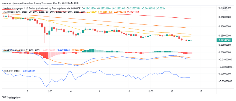 What's Happening With Hedera Hashgraph (HBAR) Lately?