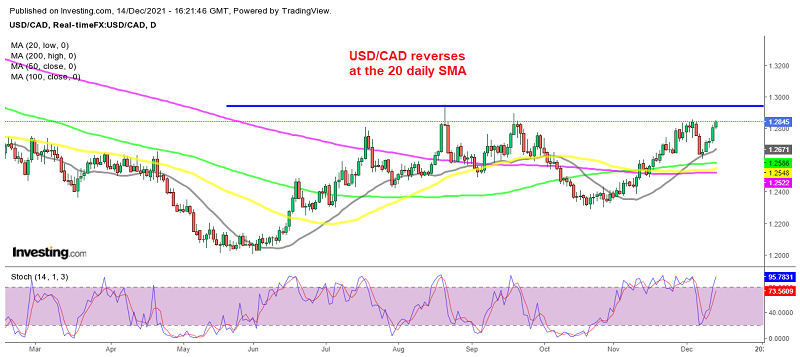 The bullish trend resumes again in USD/CAD