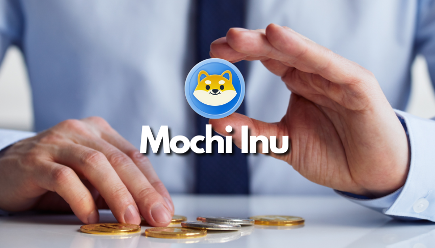 Mochi Inu is Not Your Ordinary