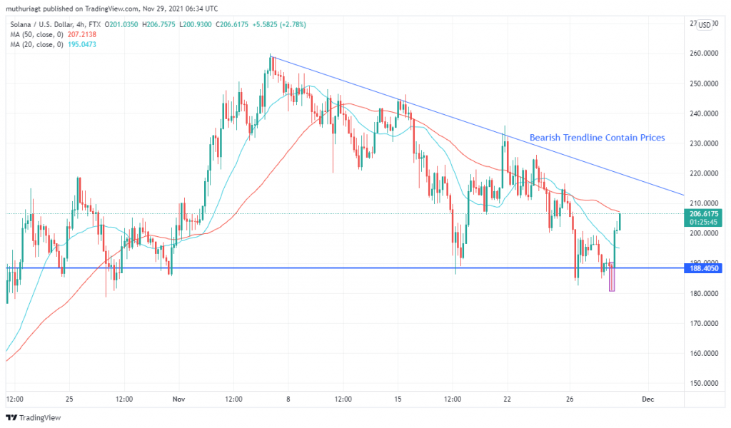 Is Avalanche (AVAX/USD) Now Bullish? USDC News Supporting Token