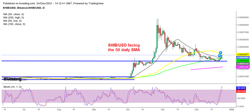 Will Shiba Inu resume the uptrend now?