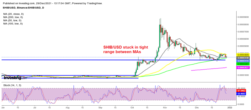 Shiba Inu facing the 100 SMA now after failing at the 50 SMA