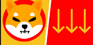 GamingShiba started to drop.