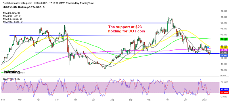 Can the bullish trend resume for Polkadot coin now?