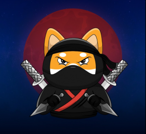 NinjaFloki (NJF) is a top earner today.