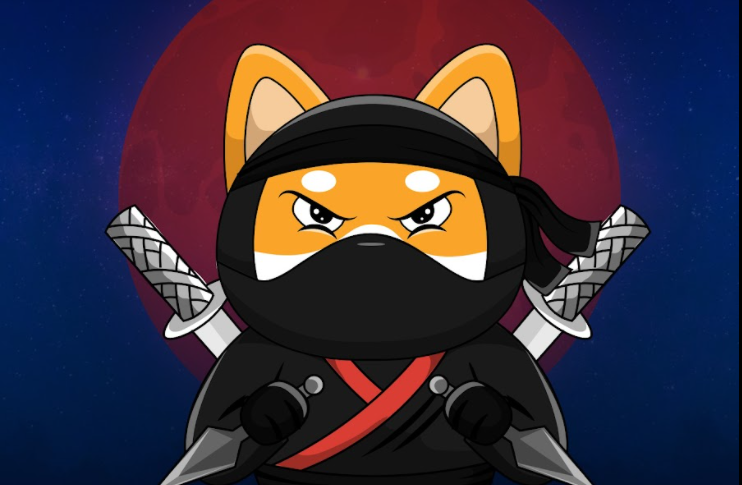 NinjaFloki (NJF) is a top earner today.