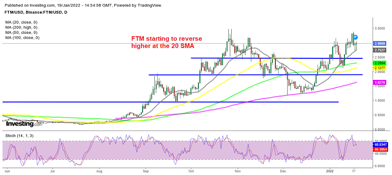 The dips in Fantom FTM are quite shallow