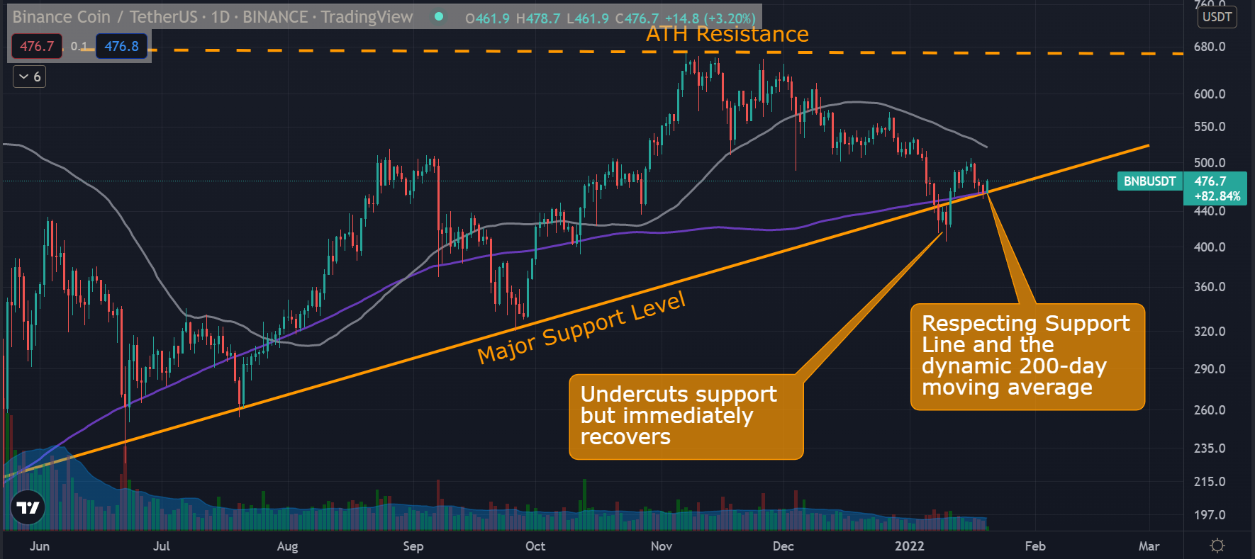 Binance (BNB) Price Analysis: Signs of Recovery as Bulls Defend Key Support  Levels - Forex News by FX Leaders