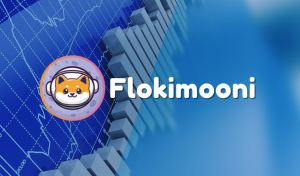 Flokimooni, a Game-Changer Meme Coin and Here's Why