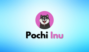 Pochi Inu, To Launch Metaverse Game & Puppies NFTs Staking Platform