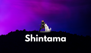 Shintama Reinvents DeFi and Makes a Huge Move in the Space