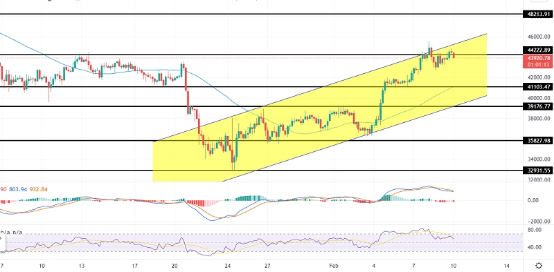 Bitcoin Struggles at $43,000: Why BTC Could Exhibit Correction