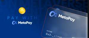 MetaPay earns big today.