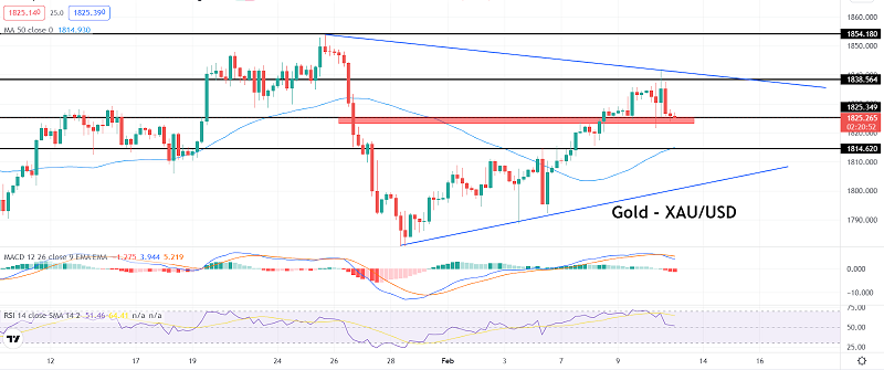 Bitcoin Steady Near $42,000: Why BTC Could Exhibit Correction