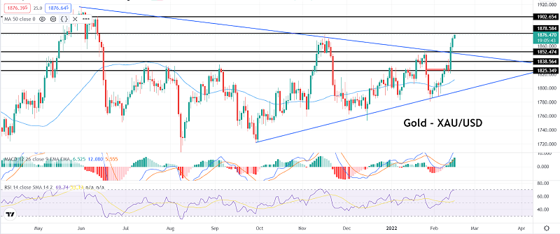 Gold Rockets to $1,876: Everything You Need to Know
