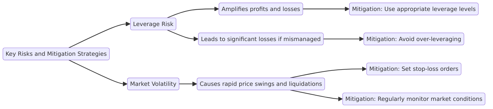 Key Risks and Mitigation Strategies
