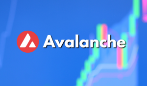 Avalanche Multiverse to Invest $290 Million in Subnet Adoption
