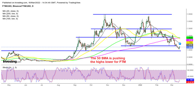 FTM Offering Good Risk/Reward Ratio for Buyers