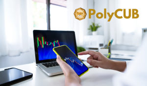 PolyCUB Platform Unites DeFi 2.0 with Yield Optimization on Polygon Network