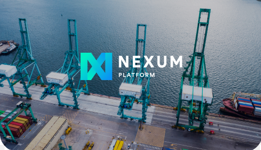 Nexum (NEXM) token