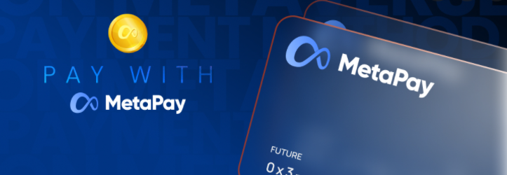 The MetaPay (METAPAY) token skyrockets.