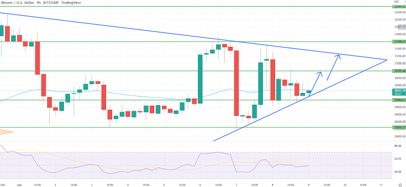 Bitcoin Gains Support Near $30,000 - What Could Drive an Uptrend?