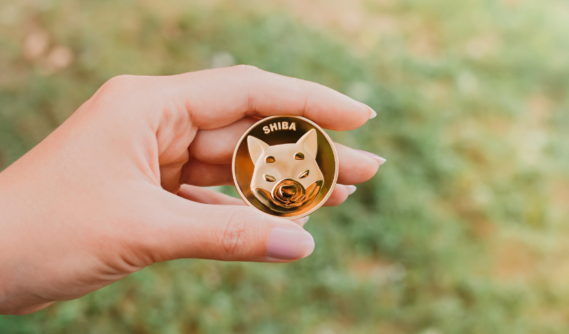 Shiba Inu