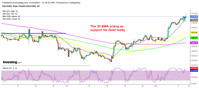 The trend has turned quite bullish for Gold